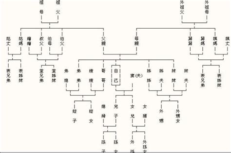 表堂怎麼分|親戚稱謂中的表和堂該怎麼區分？